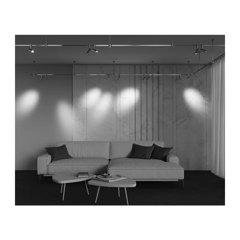 Трековый светильник Фокус / Focus Led Flarity 3000K 12Вт 50° Maytoni TR144-1-12W3K-W-BS 9