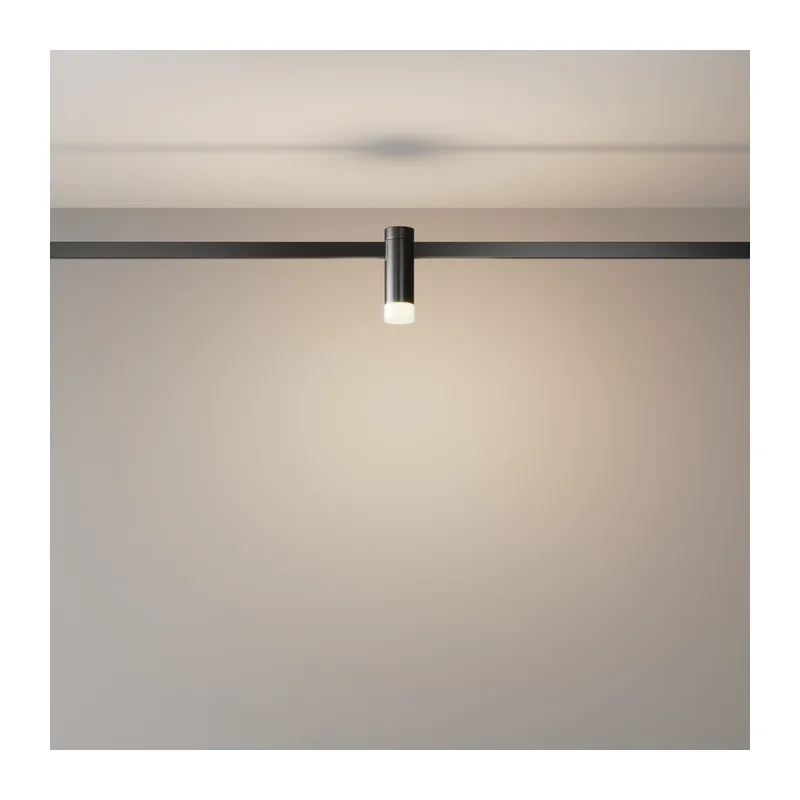 Трековый светильник Скольжение / Skim Flarity 3000K 2Вт 110° Maytoni TR145-1-3W3K-W-B 7