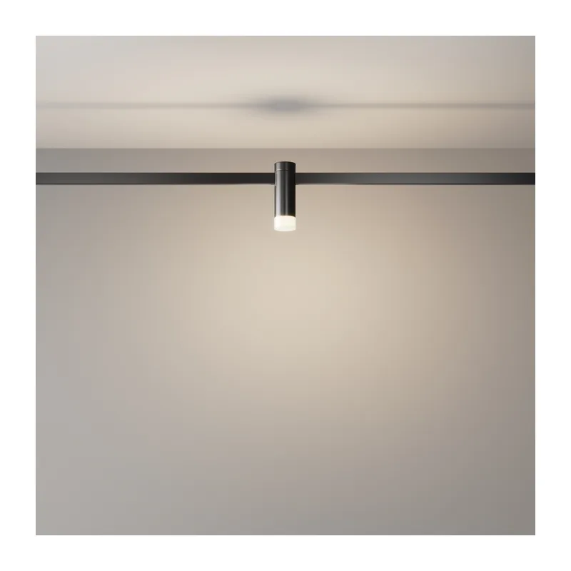 Трековый светильник Скольжение / Skim Flarity 4000K 2Вт 110° Maytoni TR145-1-3W4K-W-B 4