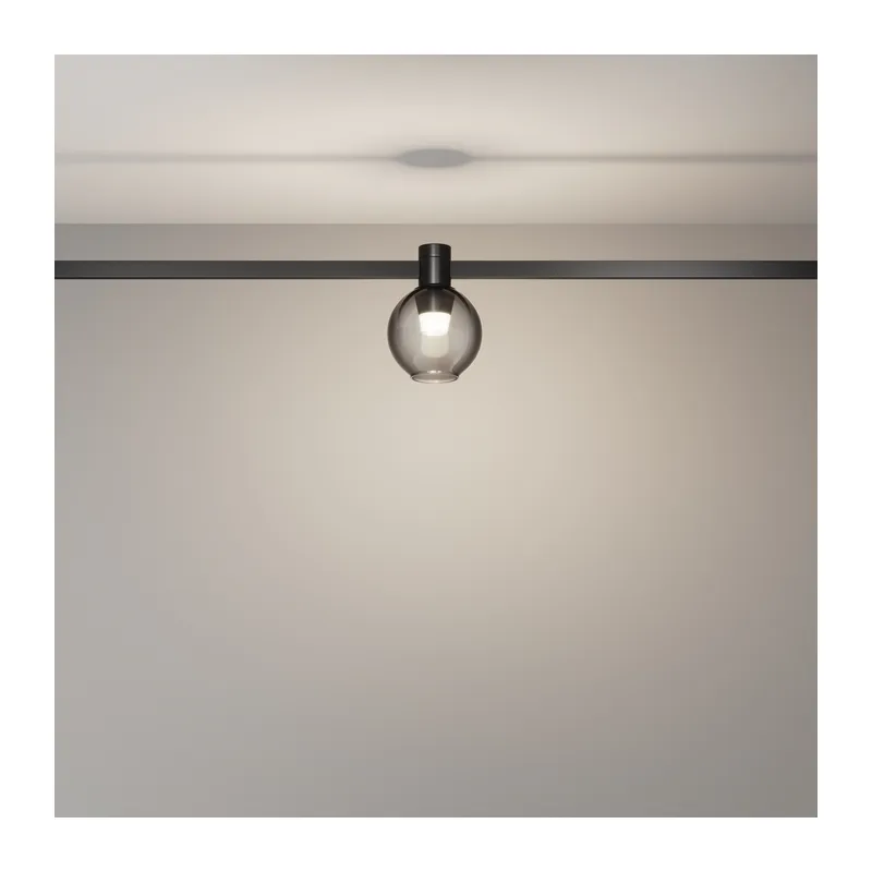 Трековый светильник Пузырь / Bubble Flarity 4000K 2Вт 120° Maytoni TR148-1-3W4K-B 5