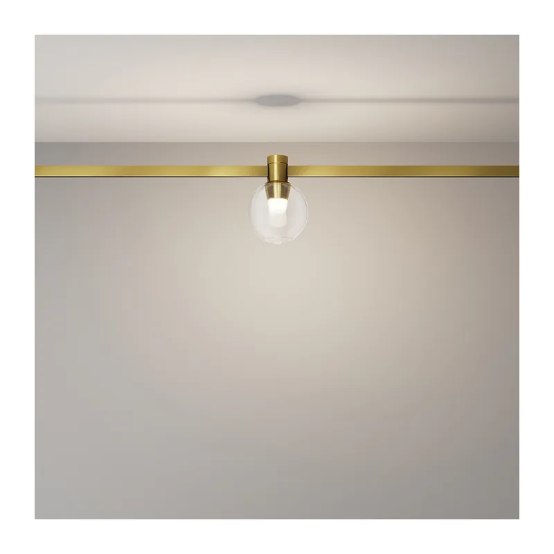 Трековый светильник Пузырь / Bubble Flarity 4000K 2Вт 120° Maytoni TR148-1-3W4K-BS 4