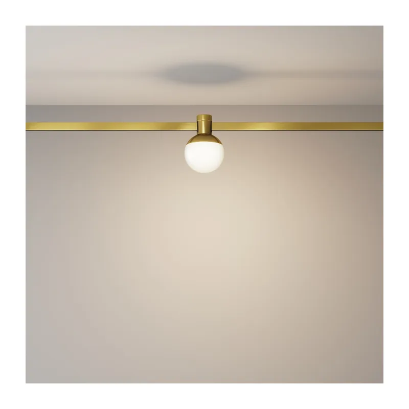 Трековый светильник Луна / Luna Flarity 3000K 4Вт 120° Maytoni TR149-1-5W3K-BS 7