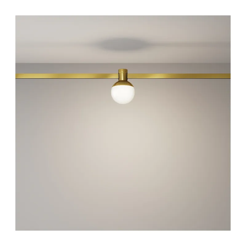 Трековый светильник Луна / Luna Flarity 4000K 4Вт 120° Maytoni TR149-1-5W4K-BS 4