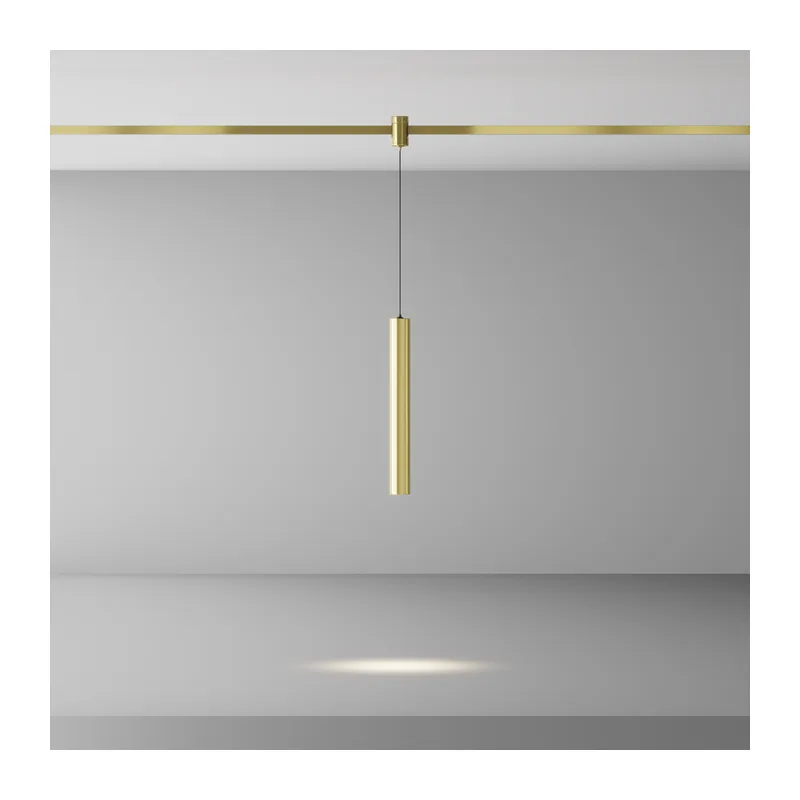 Трековый подвесой светильник Фокус / Focus Led Flarity 4000K 5Вт 30° Maytoni TR155-1-5W4K-BS 4
