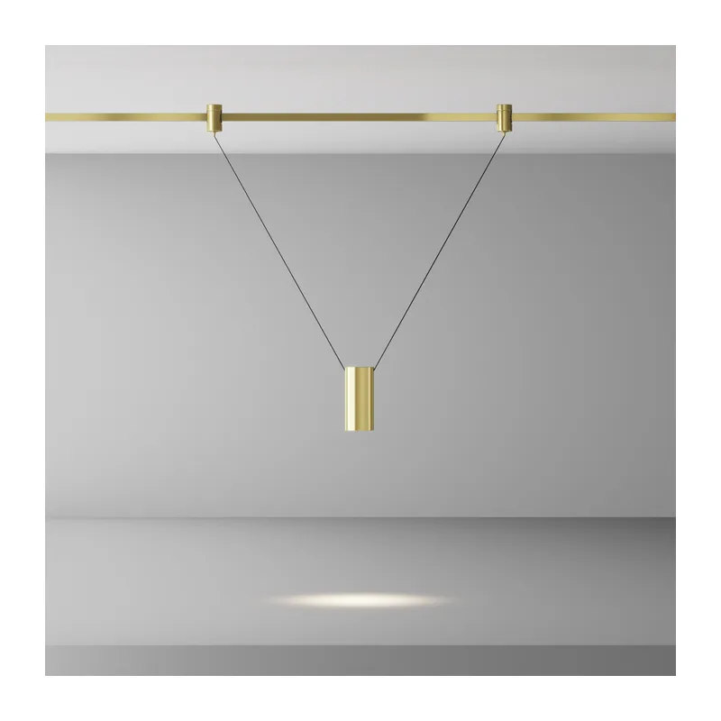 Трековый подвесой светильник Фокус / Focus Led Flarity 4000K 12Вт 36° Maytoni TR157-1-12W4K-BS 4