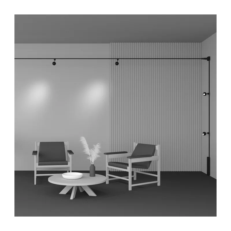 Трековый светильник Сфера / Sfera Elasity 3000K 8Вт 36° Maytoni TR164-1-8W3K-M-B 6