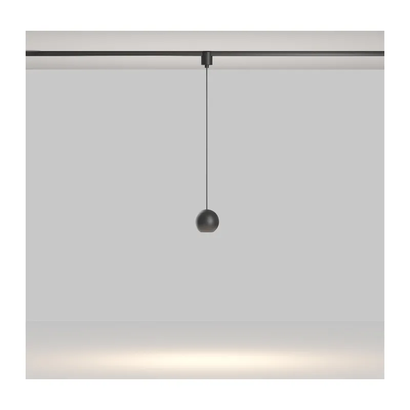 Трековый светильник Сфера / Sfera Elasity 3000K 8Вт 36° Maytoni TR165-1-8W3K-M-B 4