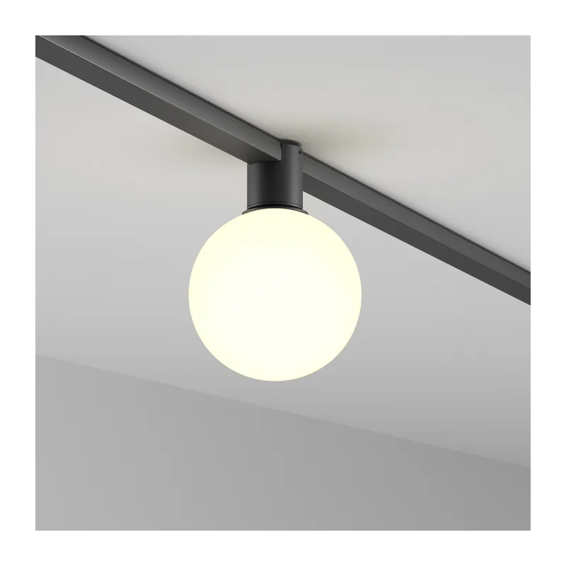 Трековый светильник Луна / Luna Elasity 3000К 5Вт 360° Maytoni TR171-1-5W3K-WB 5
