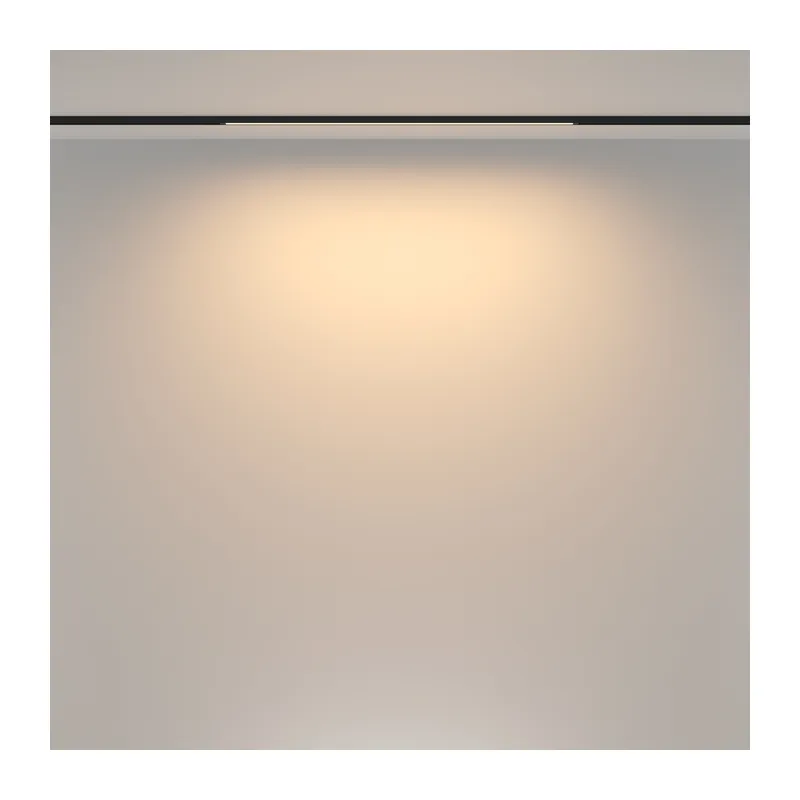 Трековый светильник Базис / Basis Basity 3000K/6000K 16Вт 120° Maytoni TR173-1-16WTW-B 6