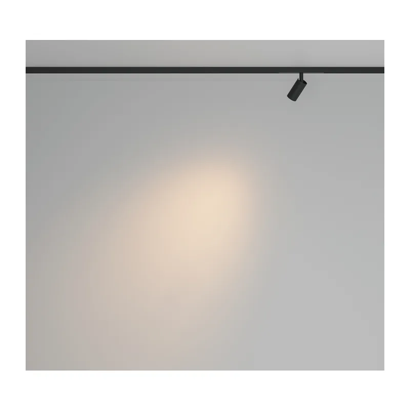 Трековый светильник Фокус / Focus Led Basity 3000K/6000K 3Вт 36° Maytoni TR176-1-3WTW-M-B 4