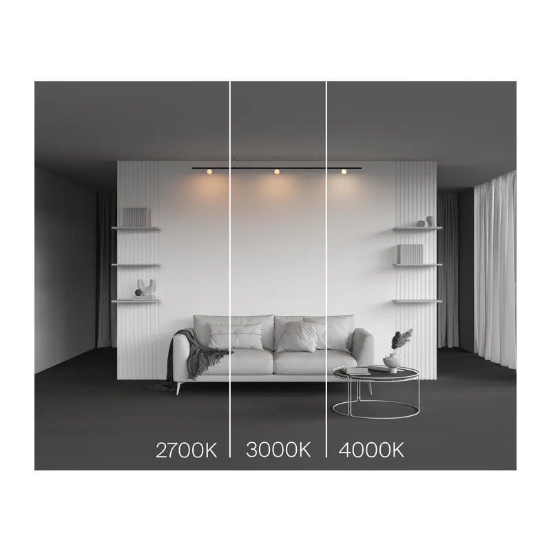 Трековый светильник Луна / Luna Levity 2700К 3Вт 200° Maytoni TR185-1-3W2.7K-B 4