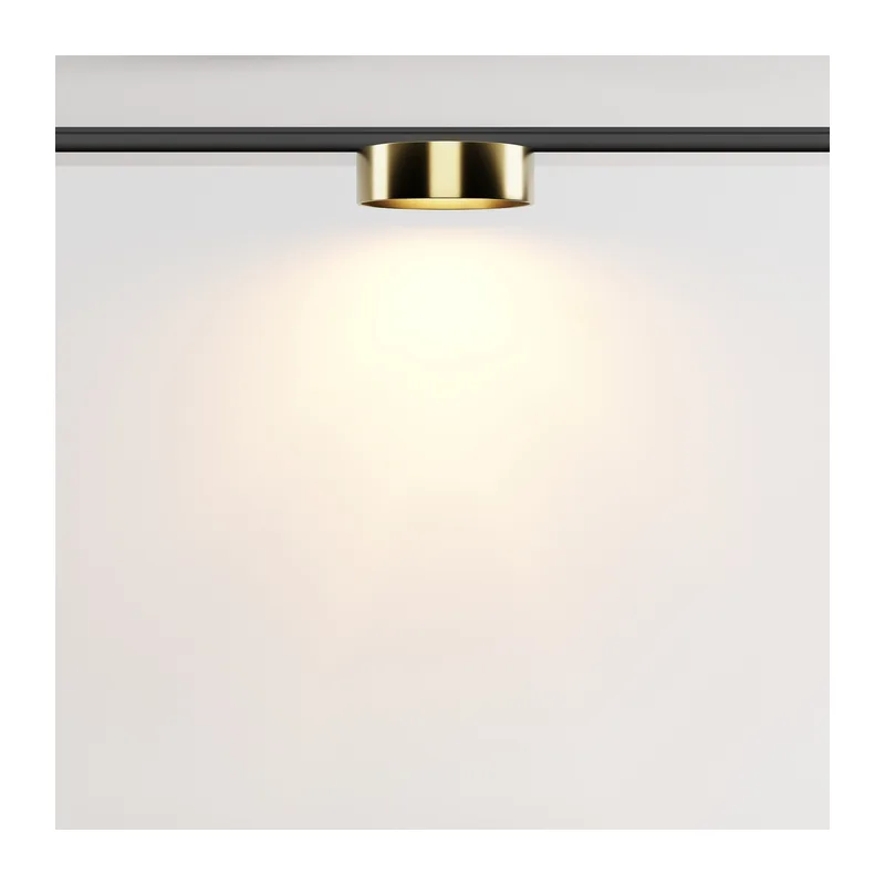 Трековый светильник Зон / Zon Levity 2700К 12Вт 100° Maytoni TR189-1-12W2.7K-BBS 4
