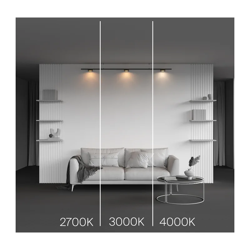Трековый светильник Зон / Zon Levity 2700К 12Вт 100° Maytoni TR189-1-12W2.7K-BBS 5