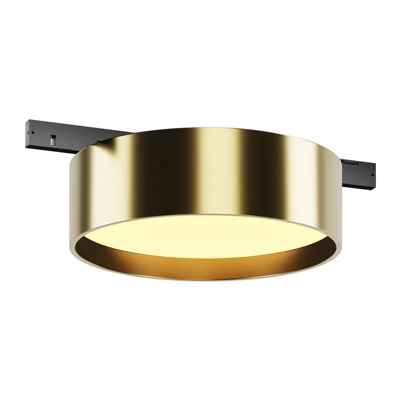 Трековый светильник Зон / Zon Levity 2700К 12Вт 100° Maytoni TR189-1-12W2.7K-BBS
