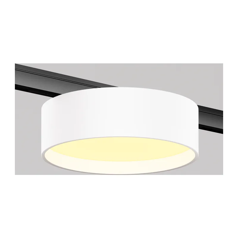 Трековый светильник Зон / Zon Levity 2700К 12Вт 100° Maytoni TR189-1-12W2.7K-BW 9