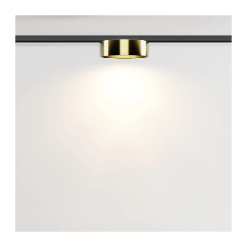 Трековый светильник Зон / Zon Levity 3000К 12Вт 100° Maytoni TR189-1-12W3K-BBS 4