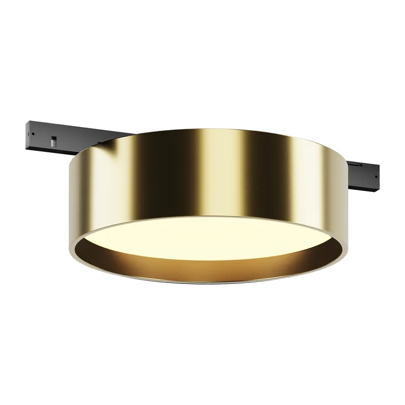 Трековый светильник Зон / Zon Levity 3000К 12Вт 100° Maytoni TR189-1-12W3K-BBS
