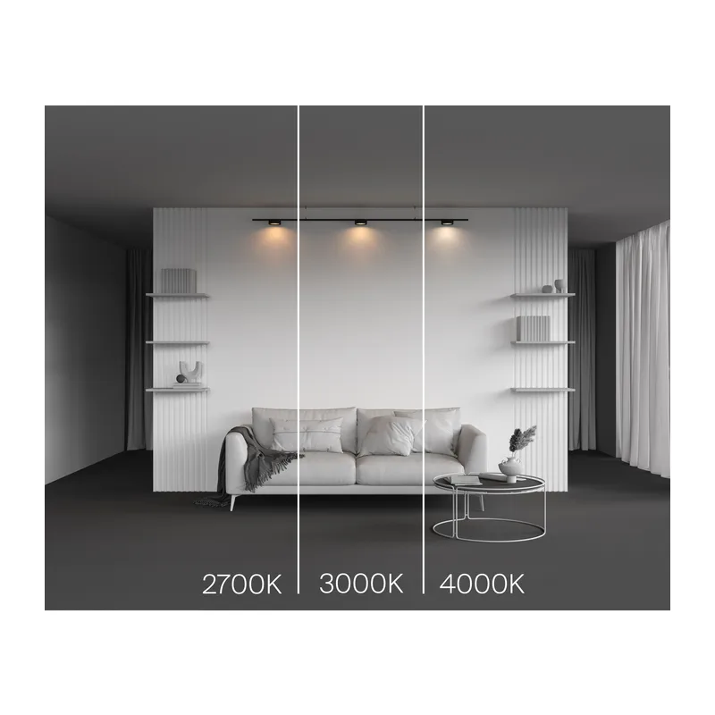 Трековый светильник Зон / Zon Levity 4000К 12Вт 100° Maytoni TR189-1-12W4K-B 9