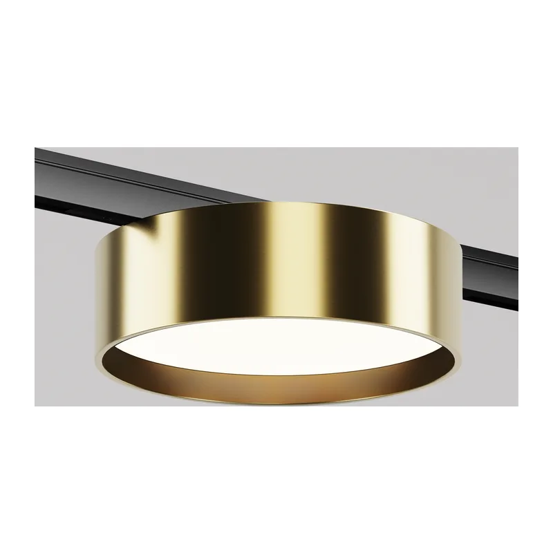 Трековый светильник Зон / Zon Levity 4000К 12Вт 100° Maytoni TR189-1-12W4K-BBS 6