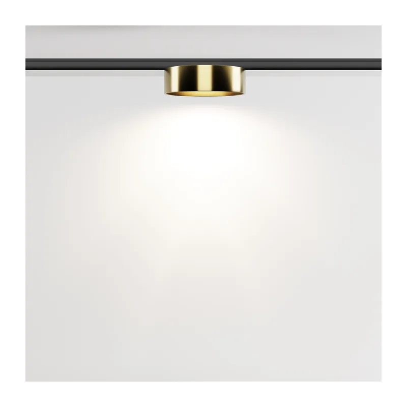 Трековый светильник Зон / Zon Levity 4000К 12Вт 100° Maytoni TR189-1-12W4K-BBS 7
