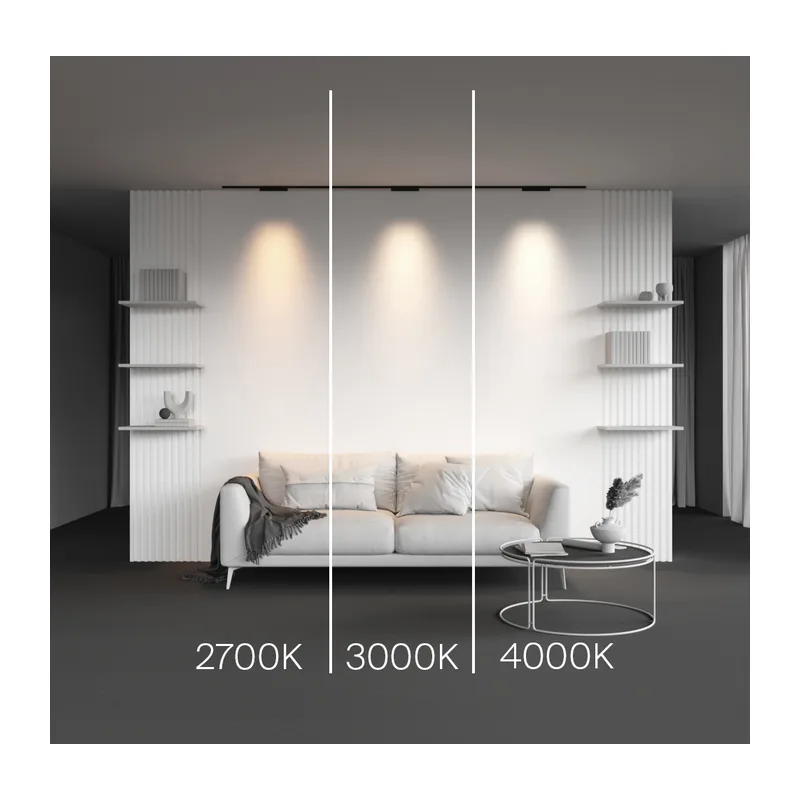 Трековый светильник Точки / Points Levity 2700К 10Вт 30° Maytoni TR193-1-10W2.7K-M-B 2