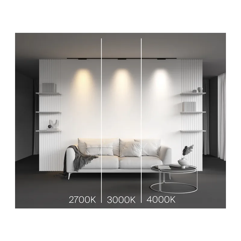 Трековый светильник Точки / Points Levity 3000К 10Вт 30° Maytoni TR193-1-10W3K-M-B 3