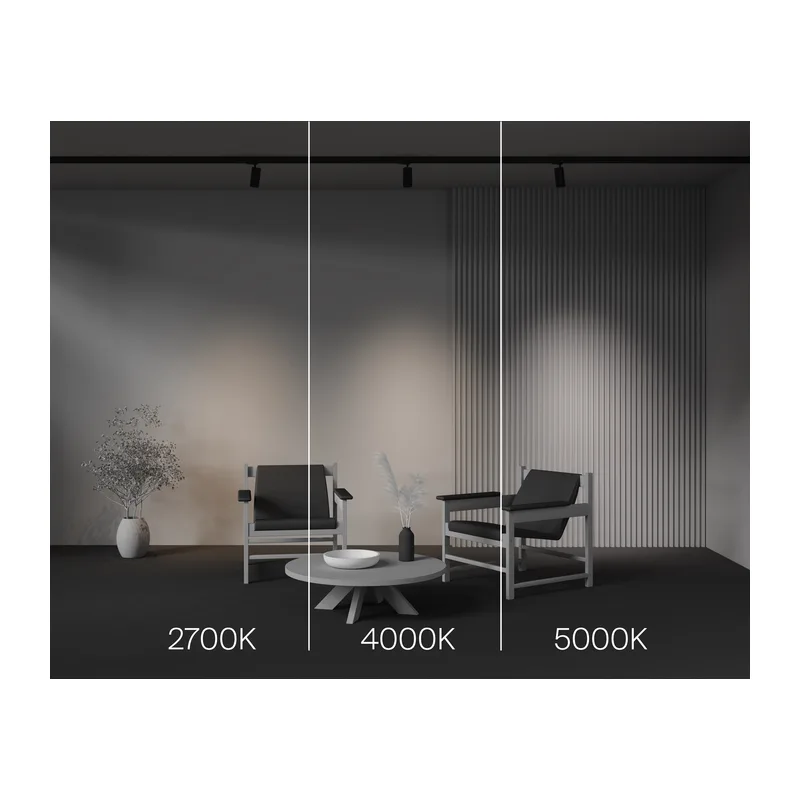 Трековый светильник Фокус / Focus Led Trinity 2700-5000K 12Вт 36° Maytoni TR197-3-12WCCT-M-B 3
