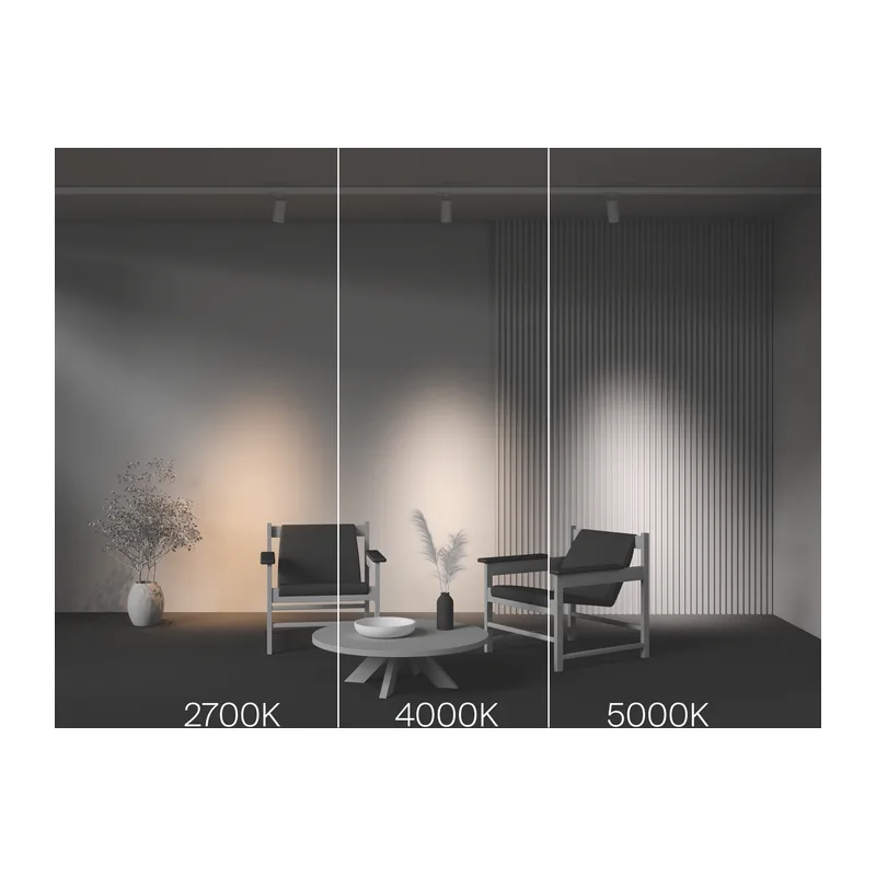 Трековый светильник Фокус / Focus Led Trinity 2700-5000K 20Вт 36° Maytoni TR197-3-20WCCT-M-W 5
