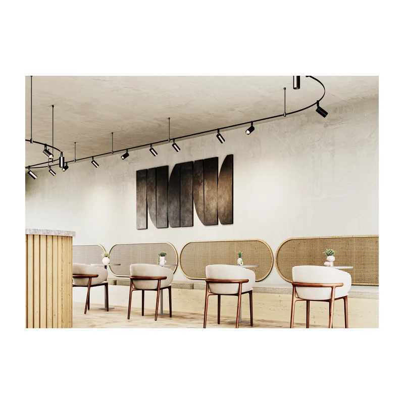 Трековый светильник Фокус / Focus Led 3000К 15Вт 36° Maytoni TR201-1-15W3K-M-B 10