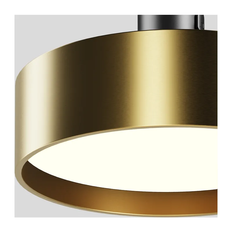 Трековый светильник Зон / Zon 3000К 12Вт 100° Maytoni TR204-1-12W3K-BBS 2