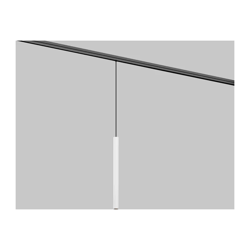 Трековый подвесной светильник Фокус / Focus Led Exility 2700-6000K 5Вт 36° Dim Smart Zigbee Maytoni TR226-4-5WTW-M-DSZ-W 2