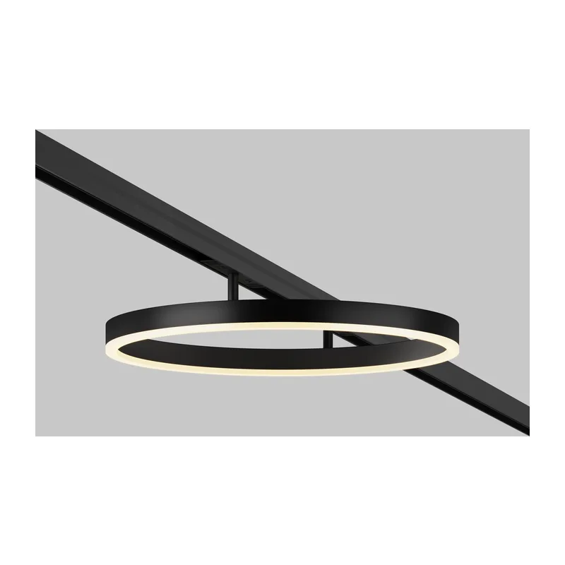 Трековый светильник Рим / Rim Exility 3000K 24Вт 120° Maytoni TR227-2-24W3K-B 3