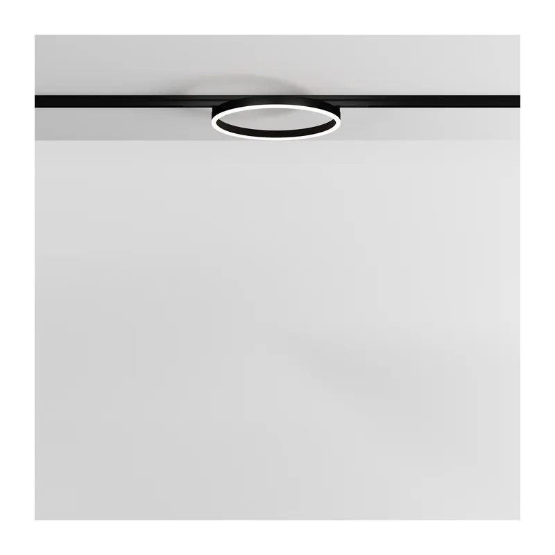 Трековый светильник Рим / Rim Exility 3000K 24Вт 120° Maytoni TR227-2-24W3K-B 4