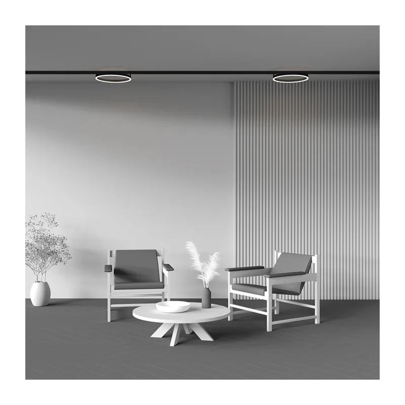 Трековый светильник Рим / Rim Exility 3000K 24Вт 120° Maytoni TR227-2-24W3K-B 5