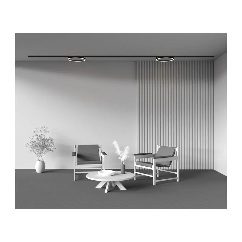Трековый светильник Рим / Rim Exility 3000K 24Вт 120° Maytoni TR227-2-24W3K-B 8
