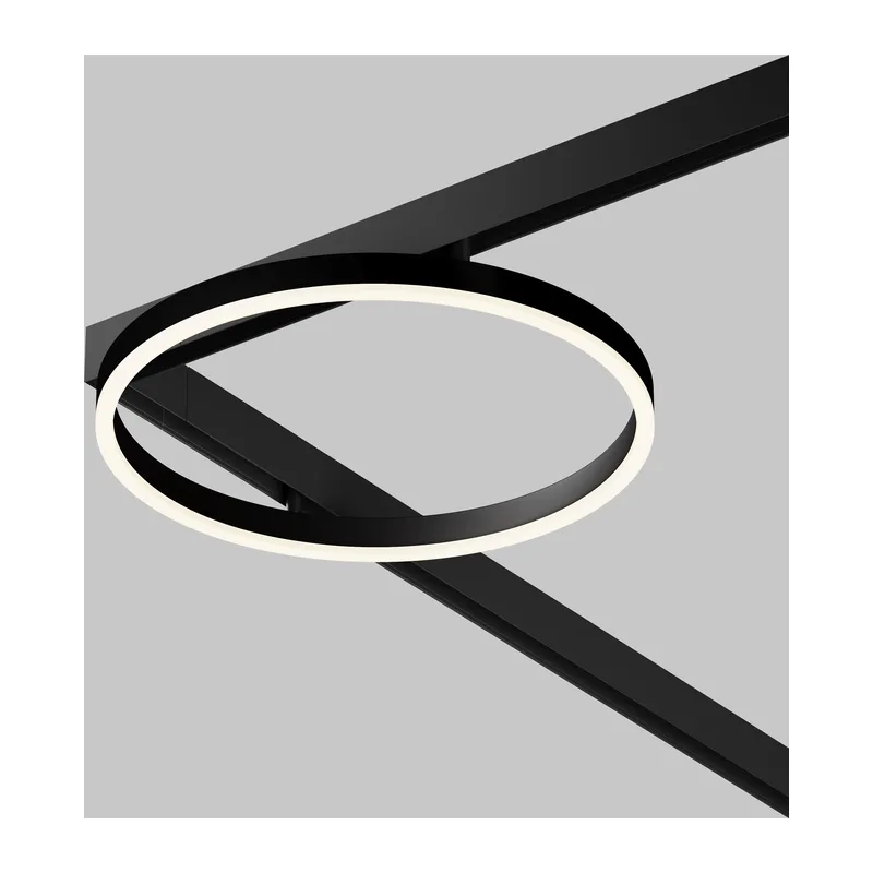 Трековый светильник Рим / Rim Exility 4000K 24Вт 120° Maytoni TR227-2-24W4K-B 11