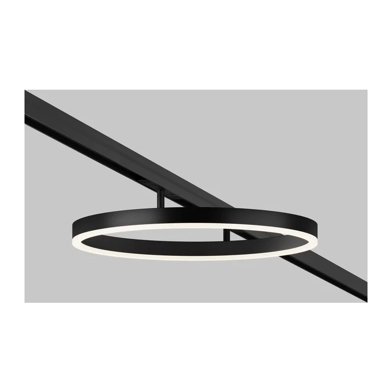 Трековый светильник Рим / Rim Exility 4000K 24Вт 120° Maytoni TR227-2-24W4K-B 3