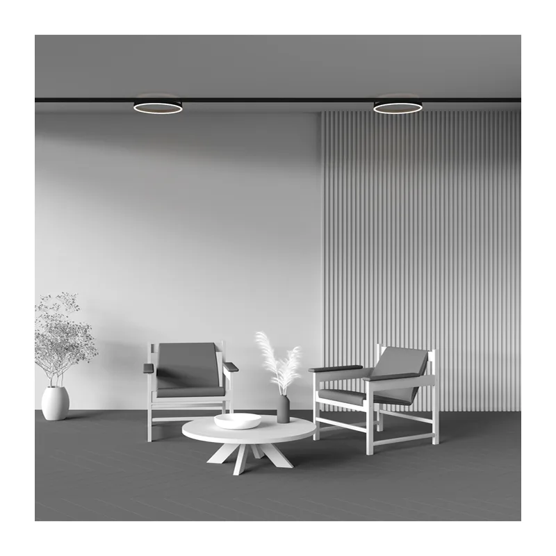Трековый светильник Рим / Rim Exility 4000K 24Вт 120° Maytoni TR227-2-24W4K-B 5