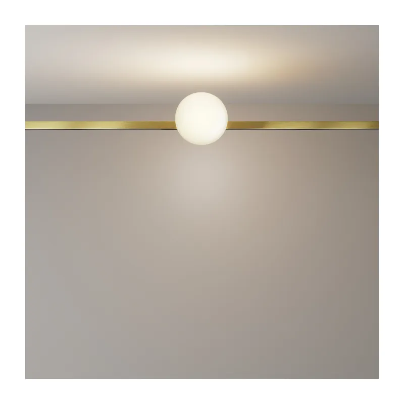 Трековый светильник Луна / Luna Flarity 3000K 5Вт 120° Maytoni TR229-1-5W3K-BS 6