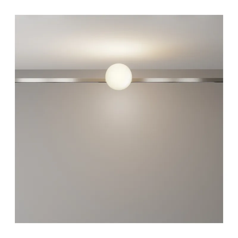 Трековый светильник Technical TR229-1-5W3K-PT Maytoni 4