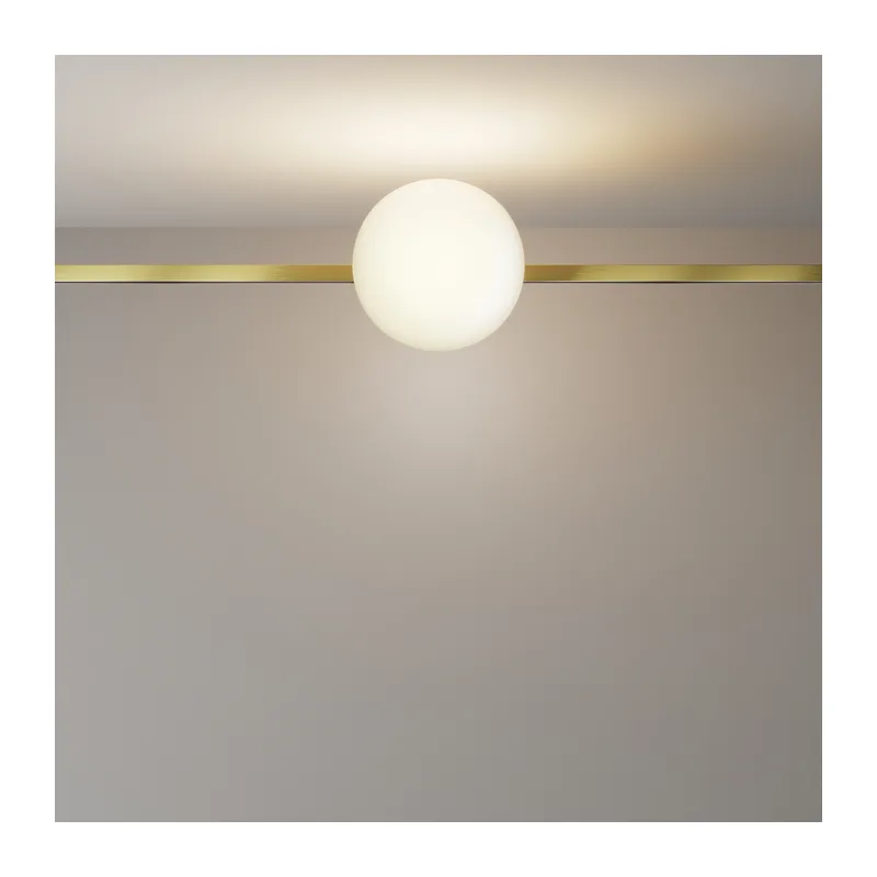 Трековый светильник Луна / Luna Flarity 3000K 8Вт 120° Maytoni TR229-1-8W3K-BS 6
