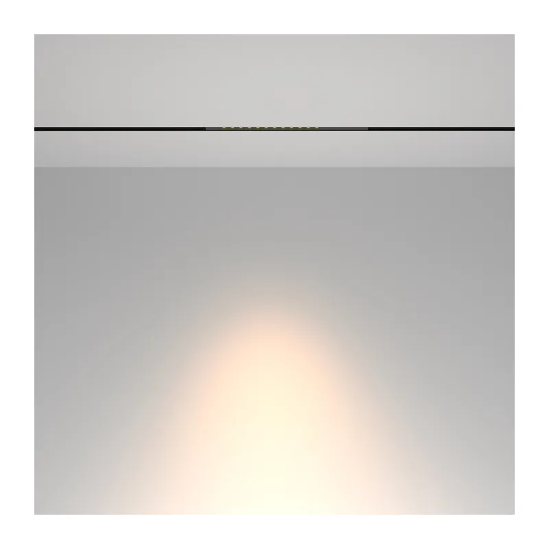 Трековый светильник Точки / Points Exility 3000K 10Вт 36° Maytoni TR232-2-10W3K-B 5