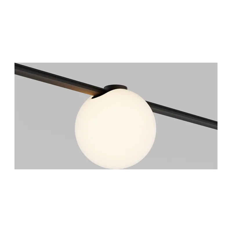 Трековый светильник Луна / Luna Arity 3000K 5т 120° Maytoni TR236-1-5W3K-B 7