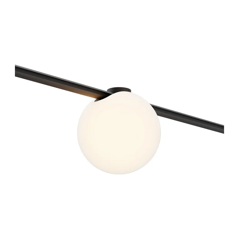 Трековый светильник Луна / Luna Arity 3000K 5т 120° Maytoni TR236-1-5W3K-B
