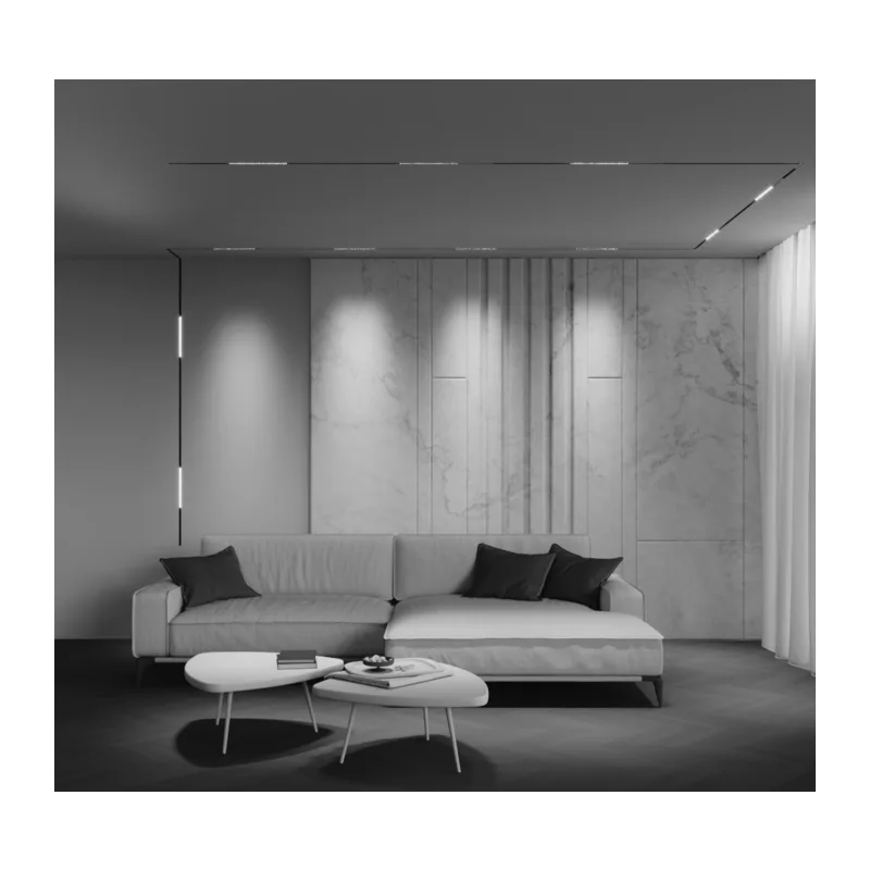 Трековый светильник Точки / Points Exility X 2700-6000K 12Вт 40° Dim Smart Zigbee Maytoni TR241-4-12WTW-DSZ-B 5