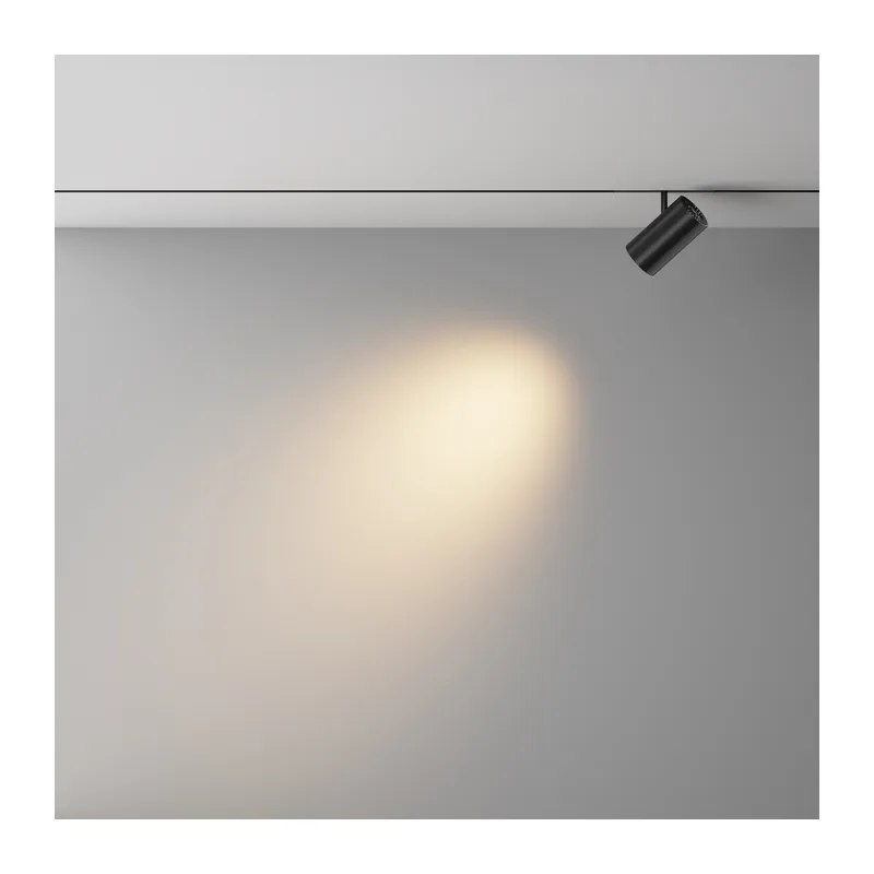 Трековый светильник Фокус / Focus Led Exility X 2700-6000K 18Вт 36° Dim Dali2 Maytoni TR243-4-18WTW-DD2-B 11