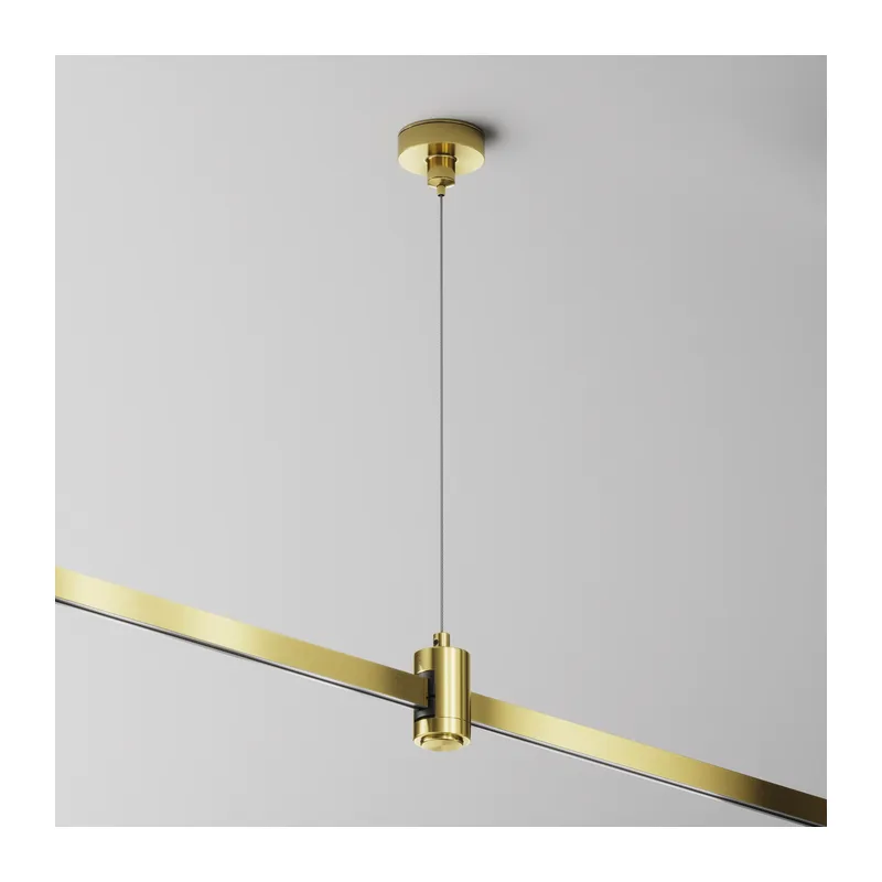 Подвес тросовый Hang одинарный Flarity латунь Maytoni TRA157SW-S1-BS 4