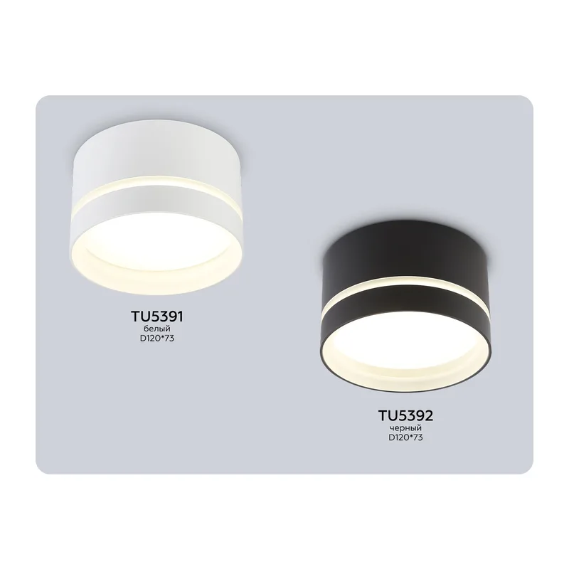 Накладной светильник 1*GX70 IP44 TU5391 WH белый IP44 GX70 max 20W D120*73 Ambrella Light 7