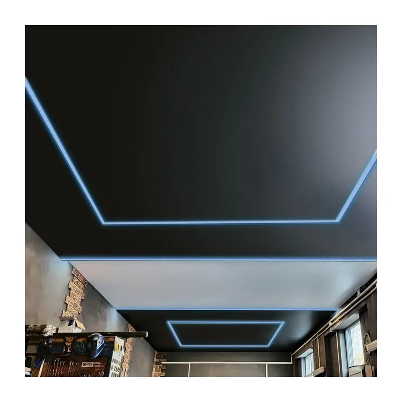 Светодиодная лента 24 В 14,4 Вт/м 60 Led/м 5050 IP20, RGB, Black, 5 м Лента светодиодная 24V 14,4W 60Led 5050 IP20 RGB, Black, 5м Elektrostandard 3