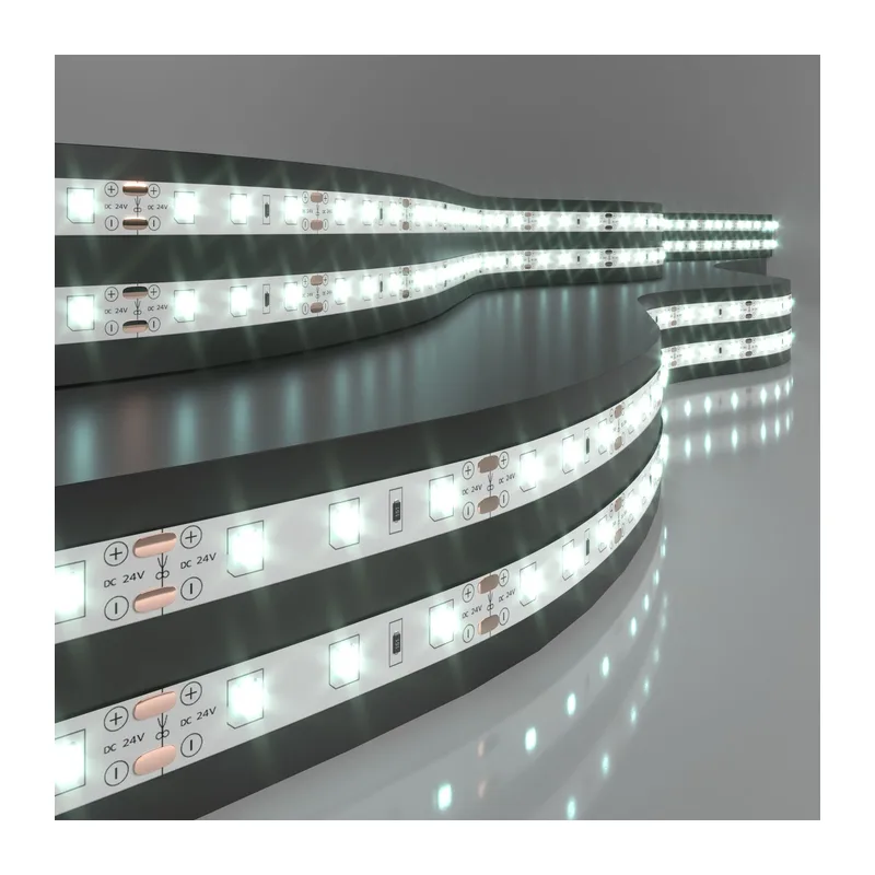 Светодиодная лента 24 В 4,8 Вт/м 60 Led/м 2835 IP20, холодный белый 6500K, 5 м Лента светодиодная 24V 4,8W 60Led 2835 IP20 холодный белый, 5м Elektrostandard